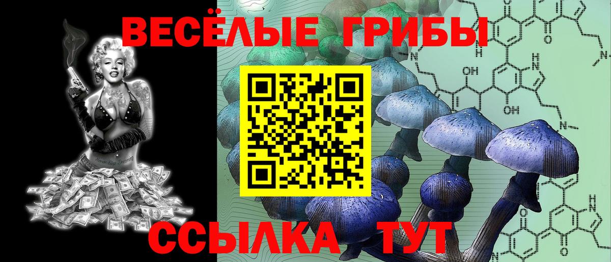 Чапаевск  Псилоцибиновые грибы Magic Shrooms  Вход с VPN 